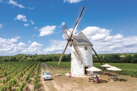 Vignoble_Mourat_degustation_vin_moulin_amis_Mareuil_sur_Lay (133) S BOURCIER